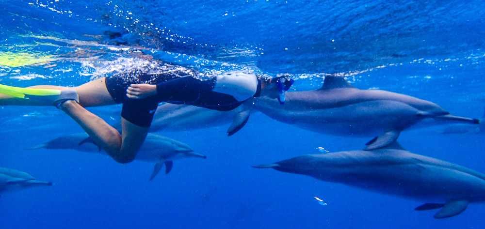SWIMMING WITH DOLPHINS AT SATAYA REEF2