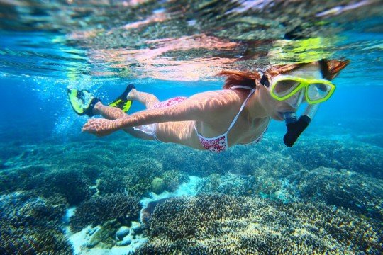 UTOPIA ISLAND Snorkeling