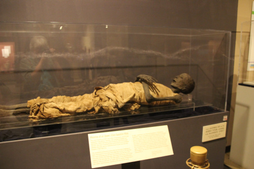 museum-mummy-001