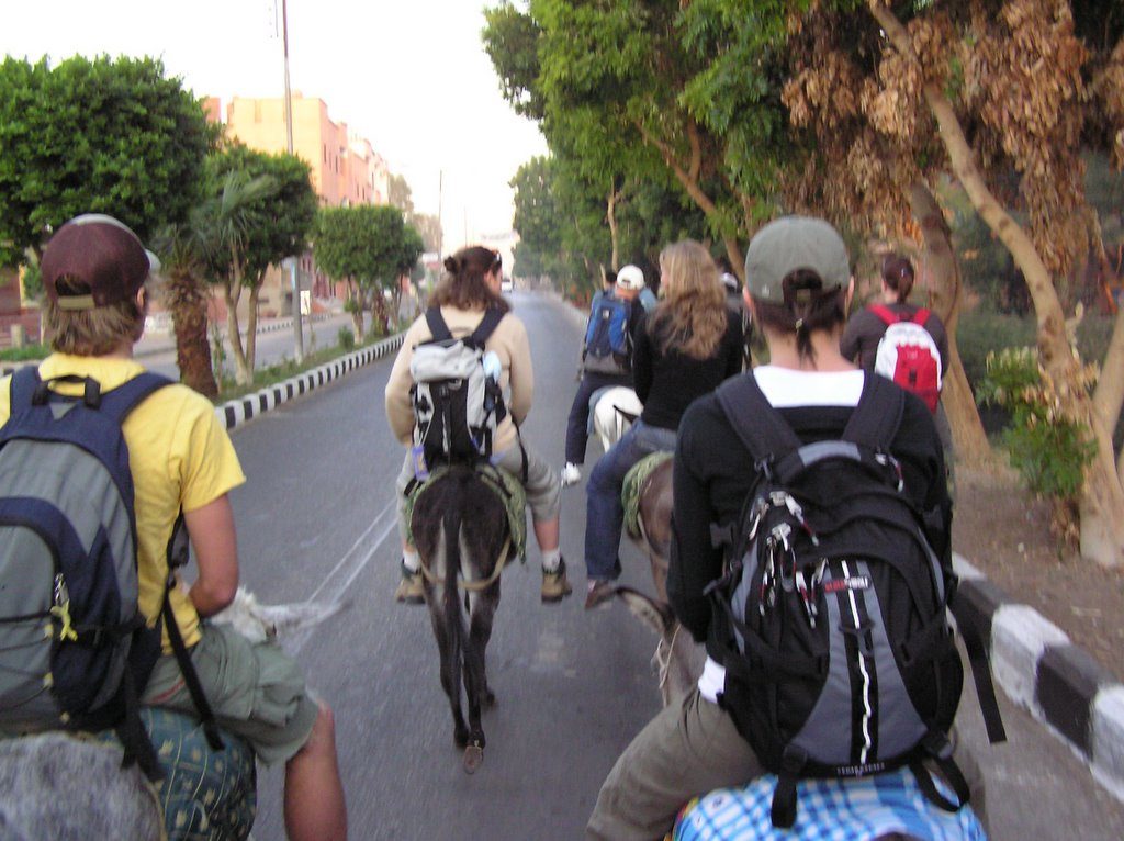 Luxor West Bank by donkey