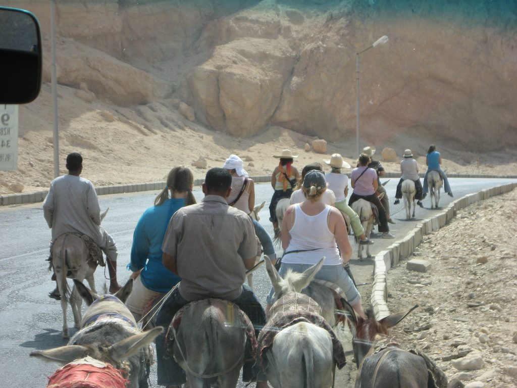 Adventure Tour Luxor West Bank by donkey ride29