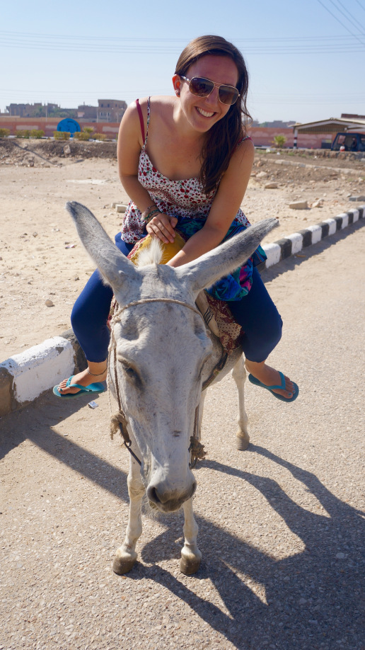 Adventure Tour Luxor West Bank by donkey ride33