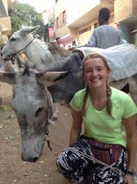 Adventure Tour Luxor West Bank by donkey ride7