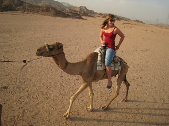 Camel ride
