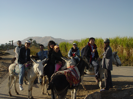 Our group riding donkeys in Luxor