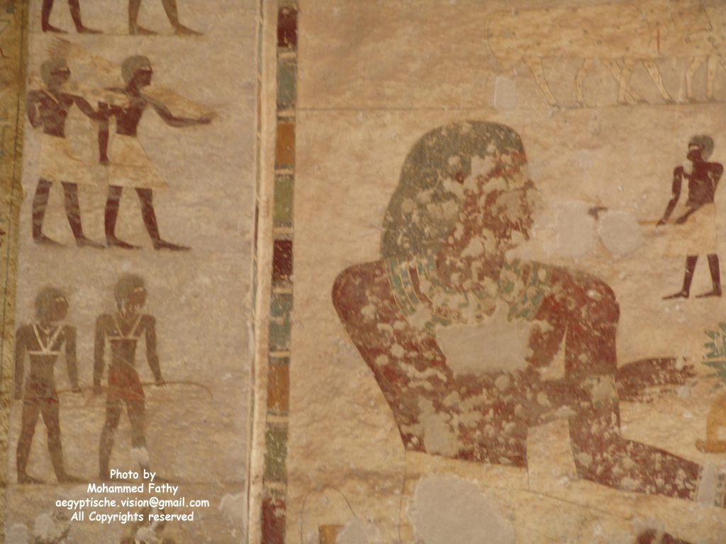 Tomb of Amnemhat (14)