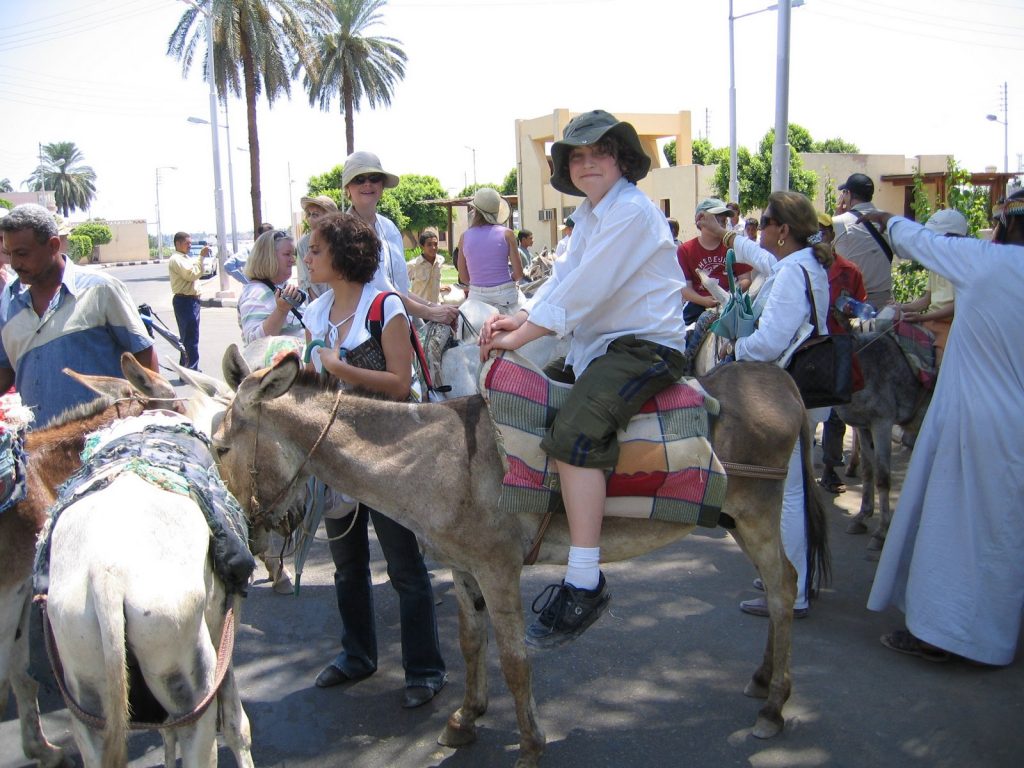 donkey ride