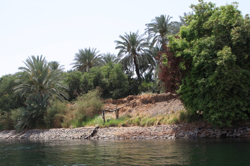 egypte2 868 (Copier)